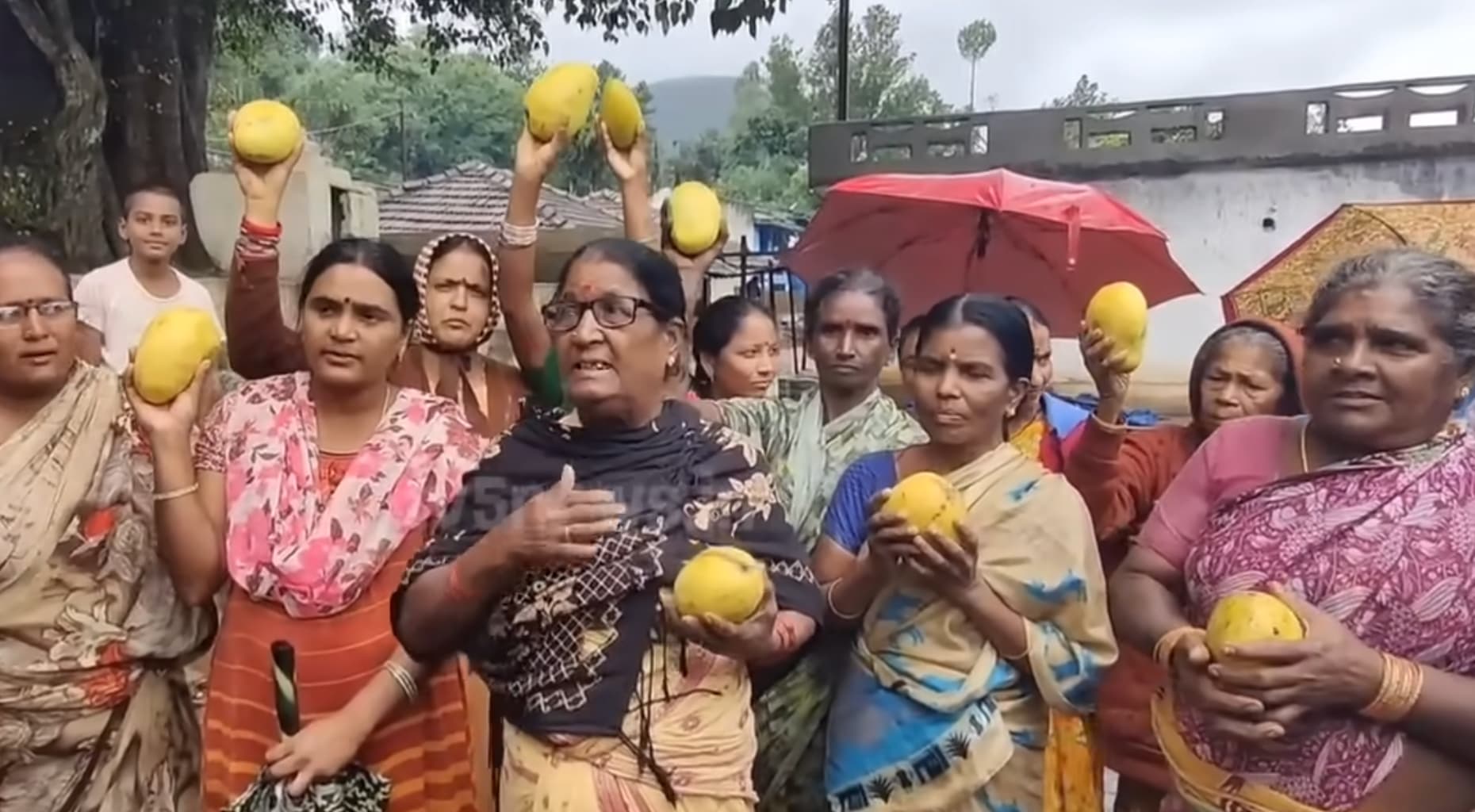 Crates of fresh mangoes loaded for delivery to Kuridi village
